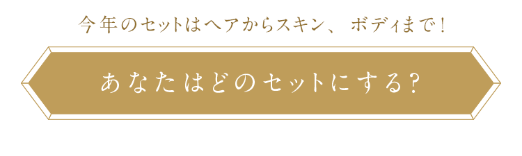 あなたはどのセットにする？