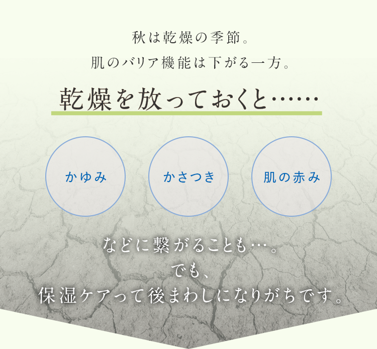 秋になると、気になるボディの乾燥。その原因は、夏の紫外線ダメージの蓄積や空気の乾燥、洋服の摩擦など。乾燥を放っておくと……かゆみ かさつき 肌の赤みなどに繋がることも…。