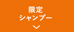 限定シャンプー