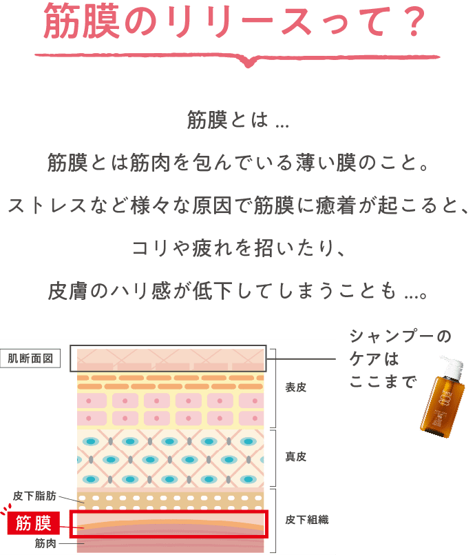 筋膜のリリースって？