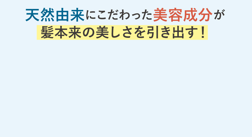 天然由来にこだわった美容成分が髪本来の美しさを引き出す！