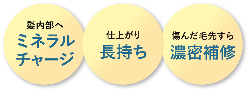 髪内部へミネラルチャージ 仕上がり長持ち 傷んだ毛先すら濃密補修