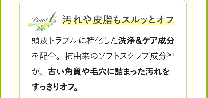 Point1 汚れや皮脂もスルッとオフ 頭皮トラブルに特化した洗浄＆ケア成分を配合。柿由来のソフトスクラブ成分※1が、古い角質や毛穴に詰まった汚れをすっきりオフ。