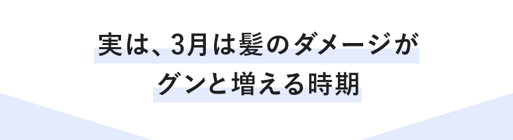 実は、3月は髪のダメージがグンと増える時期