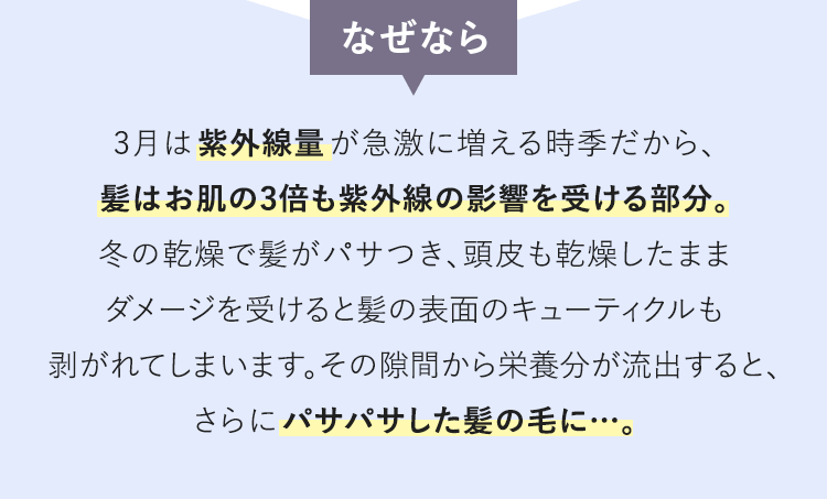 なぜなら3月は紫外線量が急激に増える時季だから、髪はお肌の3倍も紫外線の影響を受ける部分。冬の乾燥で髪がパサつき、頭皮も乾燥したままダメージを受けると髪の表面のキューティクルも剥がれてしまいます。その隙間から栄養分が流出すると、さらにパサパサした髪の毛に…。