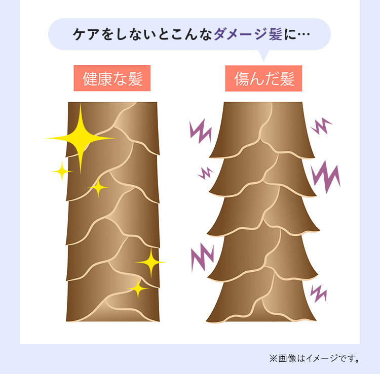 ケアをしないとこんなダメージ髪に…※画像はイメージです。