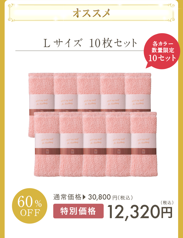 オススメ！Lサイズ10枚セット 各カラー数量限定10セット 60%OFF 通常価格30,800円（税込）特別価格12,320円（税込）