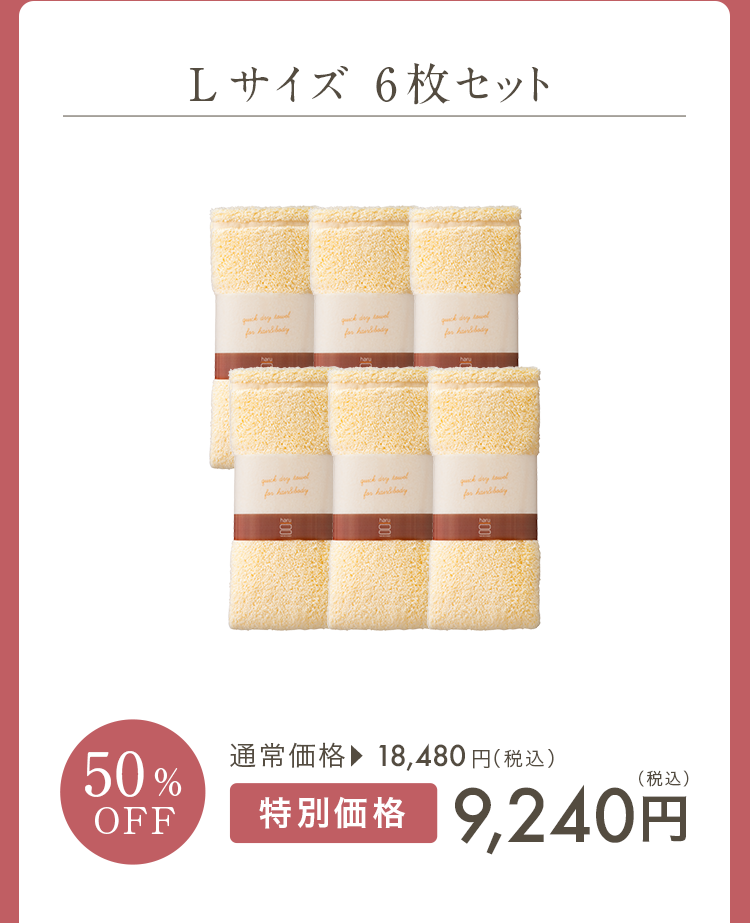 Lサイズ6枚セット 50%OFF 通常価格18,480円（税込）特別価格9,240円（税込）