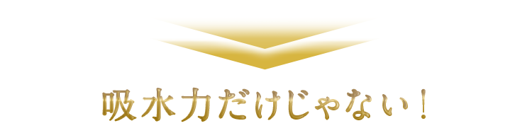 吸水力だけじゃない！